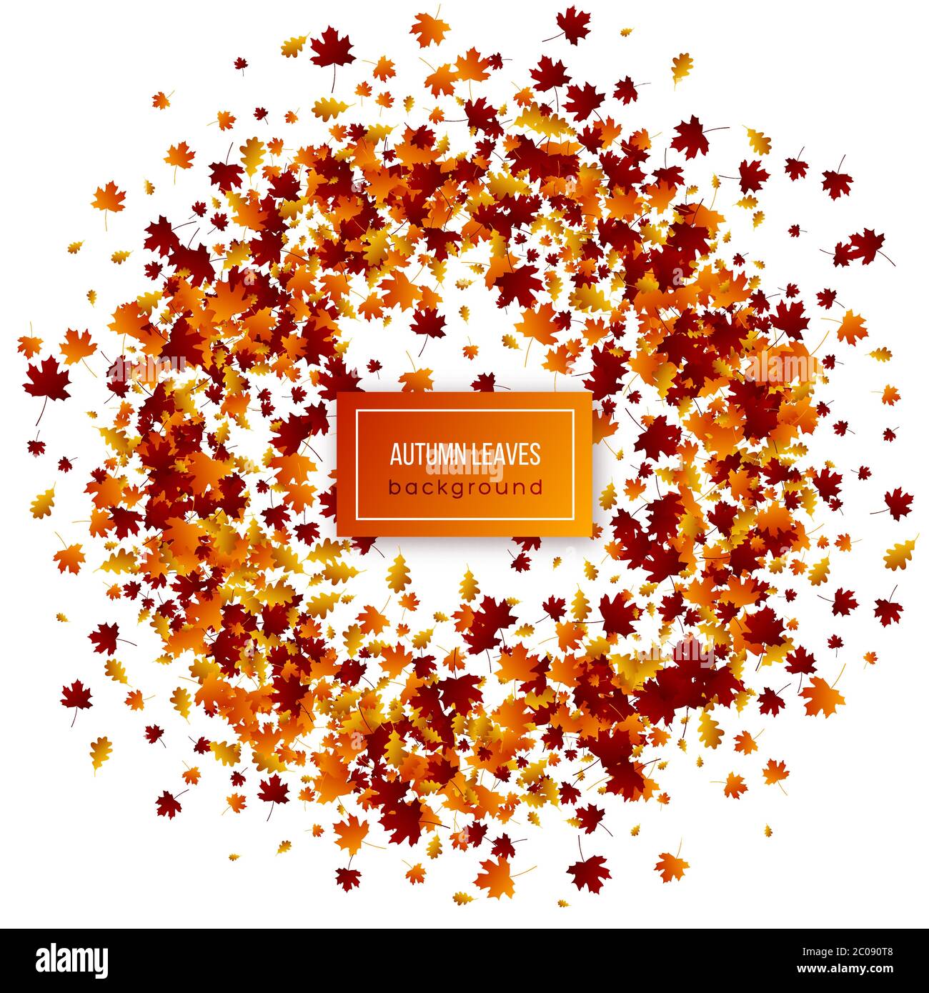Autumn leaves on white background Stock Vector Image & Art - Alamy