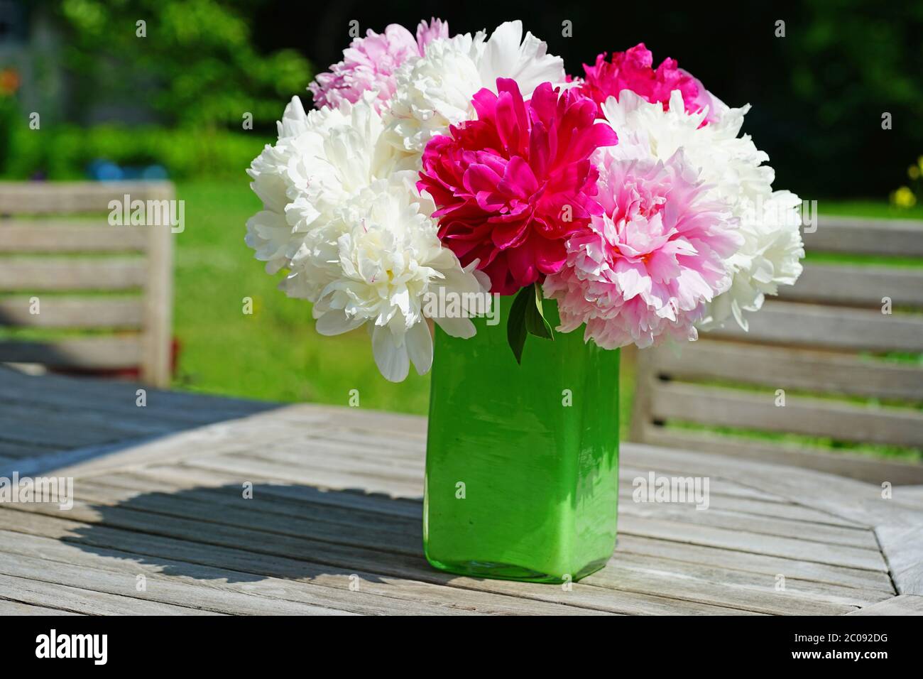 Bouquet of fragrant white and pink herbaceous peony flowers Stock Photo