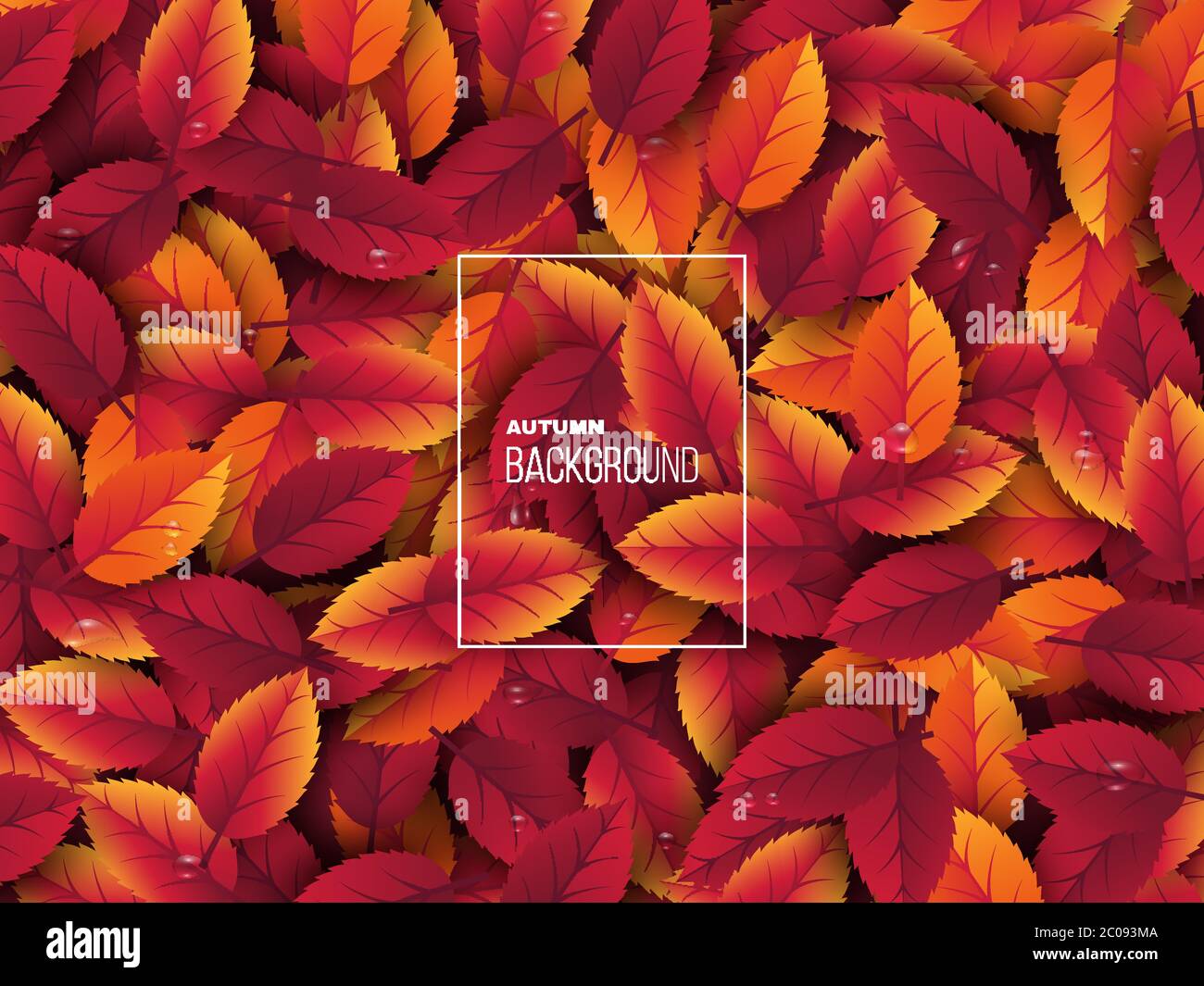 3d realistic autumn leaves with water drop. Autumnal background in red,  orange and yellow colors. Design for web, print, wallpaper, vector Stock  Vector Image & Art - Alamy