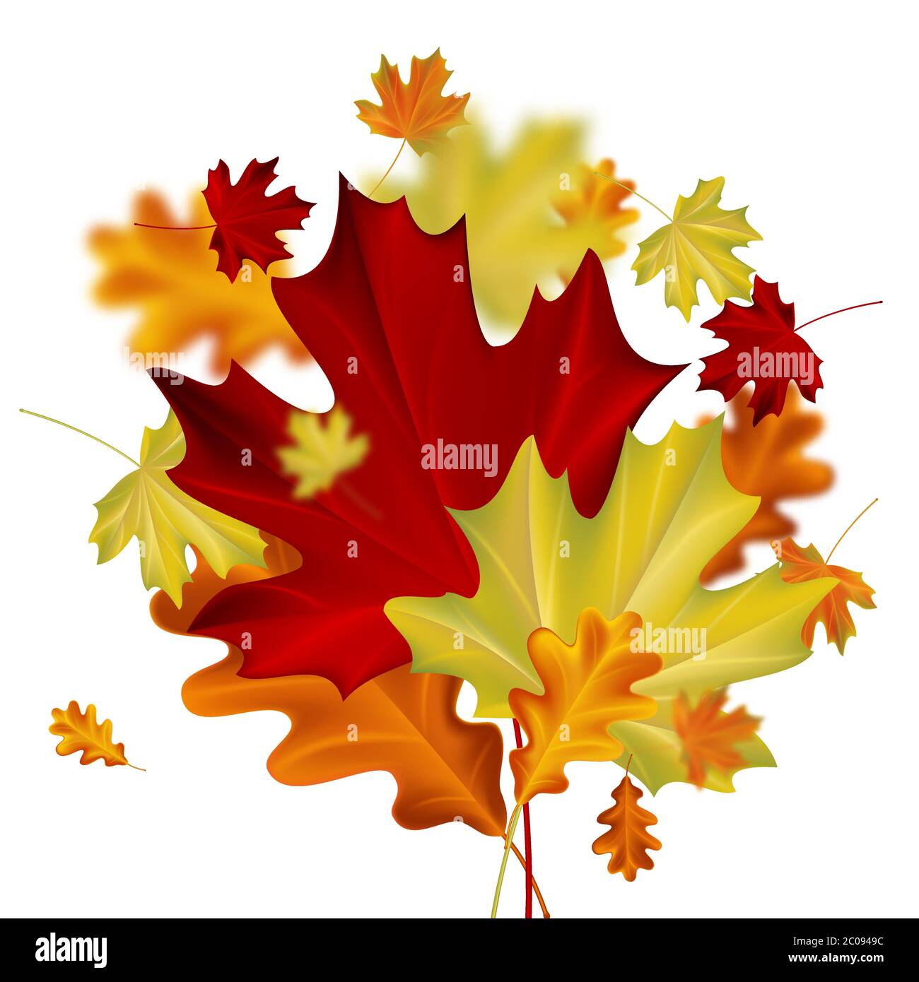 Autumn leaves on white background Stock Vector Image & Art - Alamy