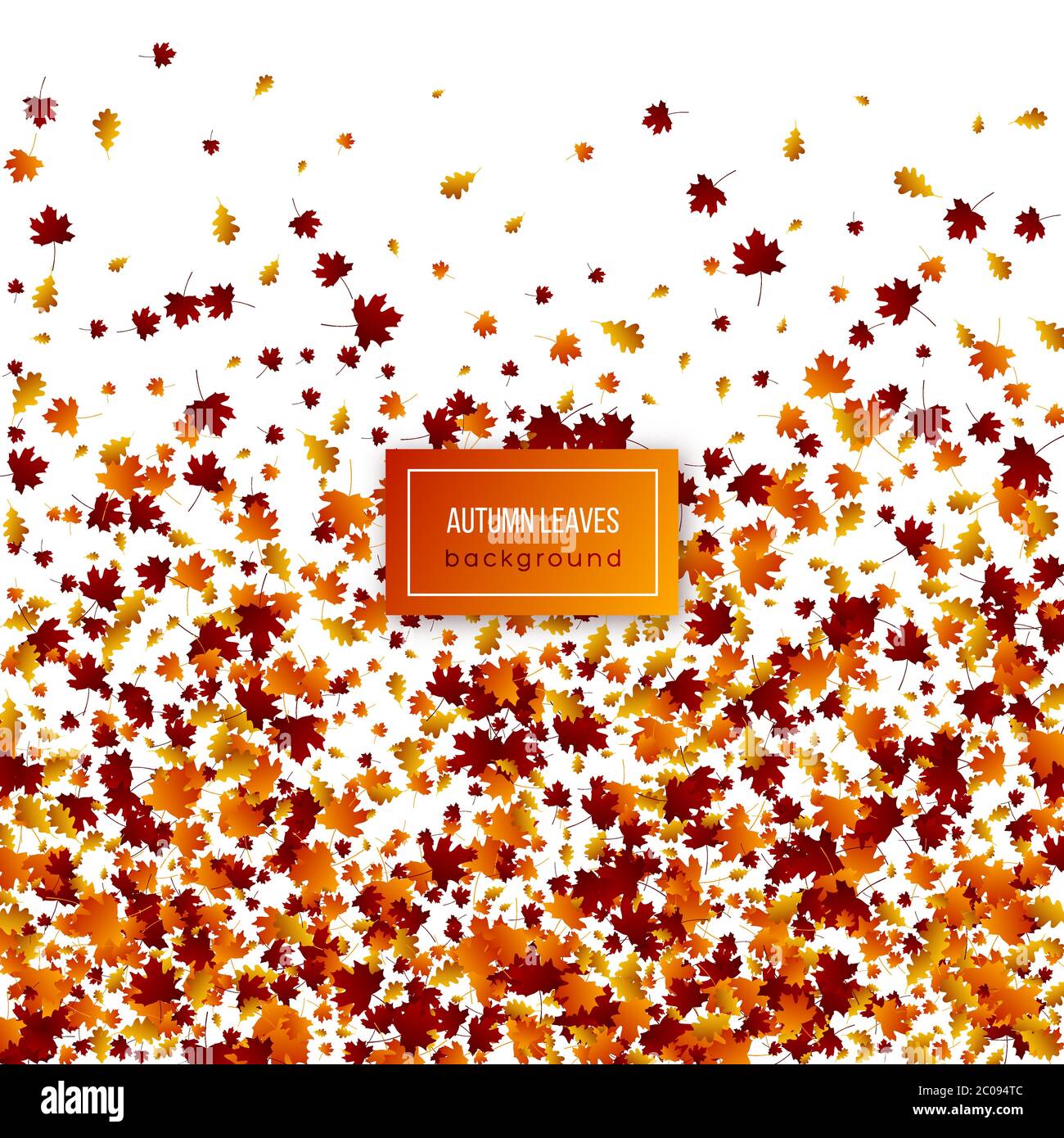 Autumn leaves on white background Stock Vector Image & Art - Alamy