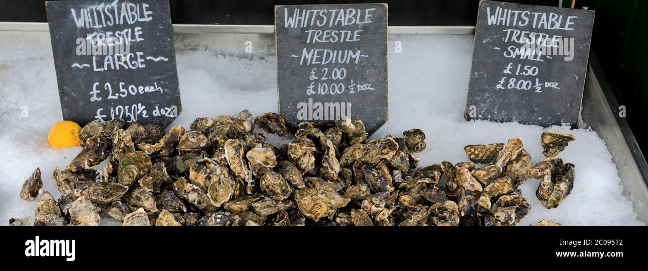 Whitstable Oysters for sale, Whitstable Harbour, Whitstable town, Kent County; England; UK Stock Photo