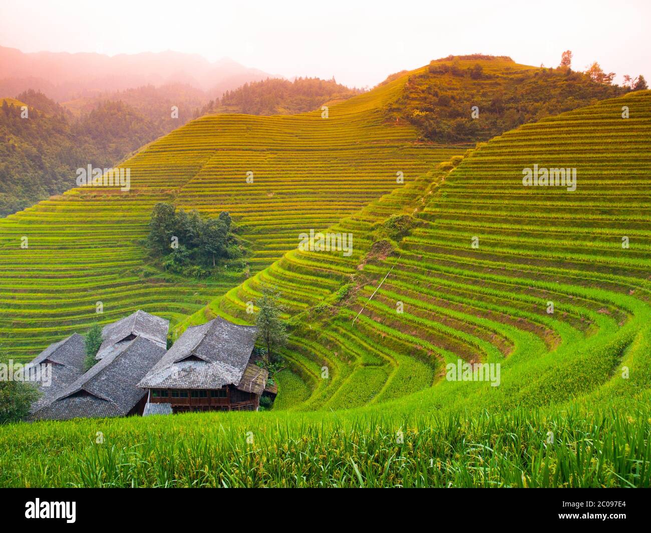 Dragon's backbone rice terraces and traditional village, Ping'An ...