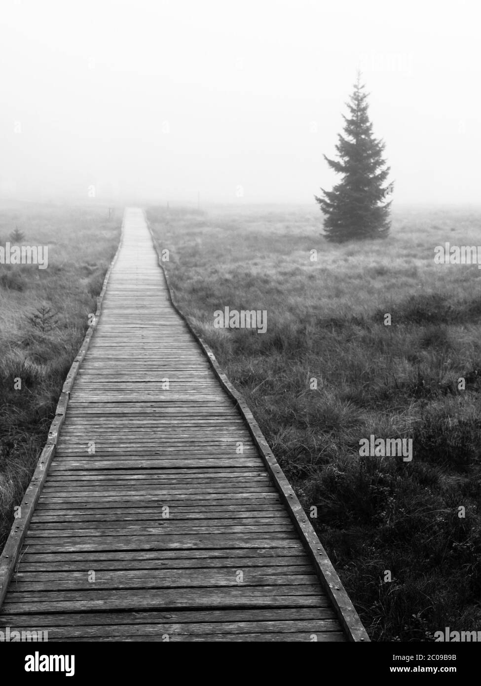 Wooden path in peat bog in black and white, Bozi Dar, Czech Republic, Europe. Bleak autumn landscape scene. Stock Photo