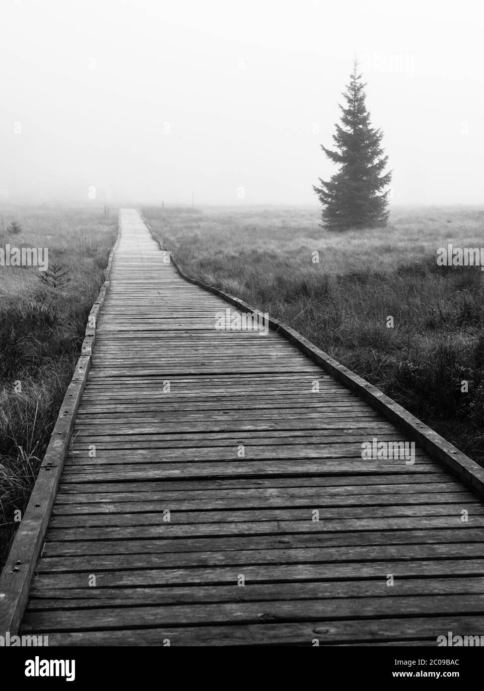 Wooden path in peat bog in black and white, Bozi Dar, Czech Republic Stock Photo