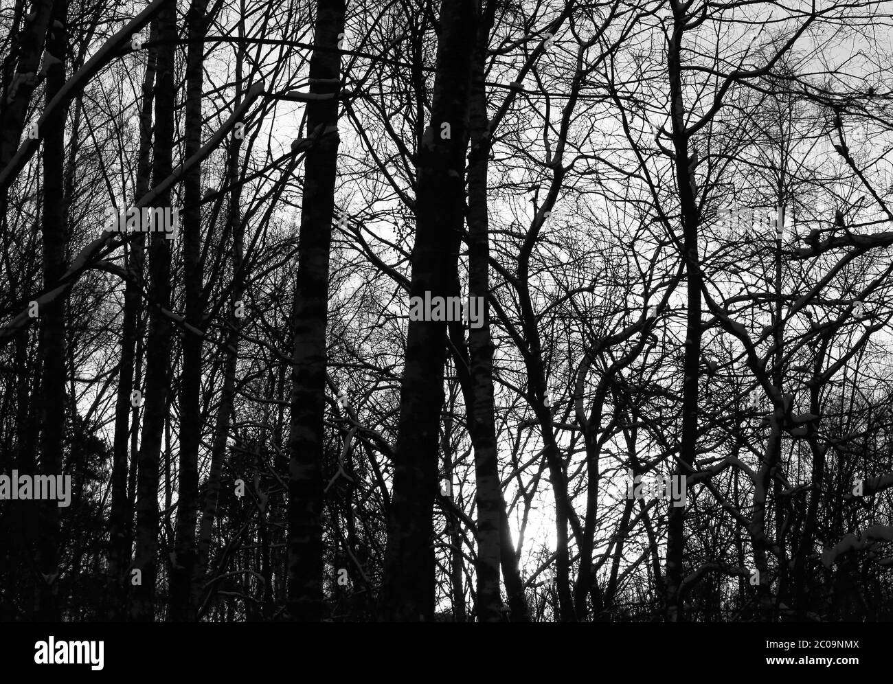 Beautiful winter scenic snowy Black and White Stock Photos & Images - Alamy