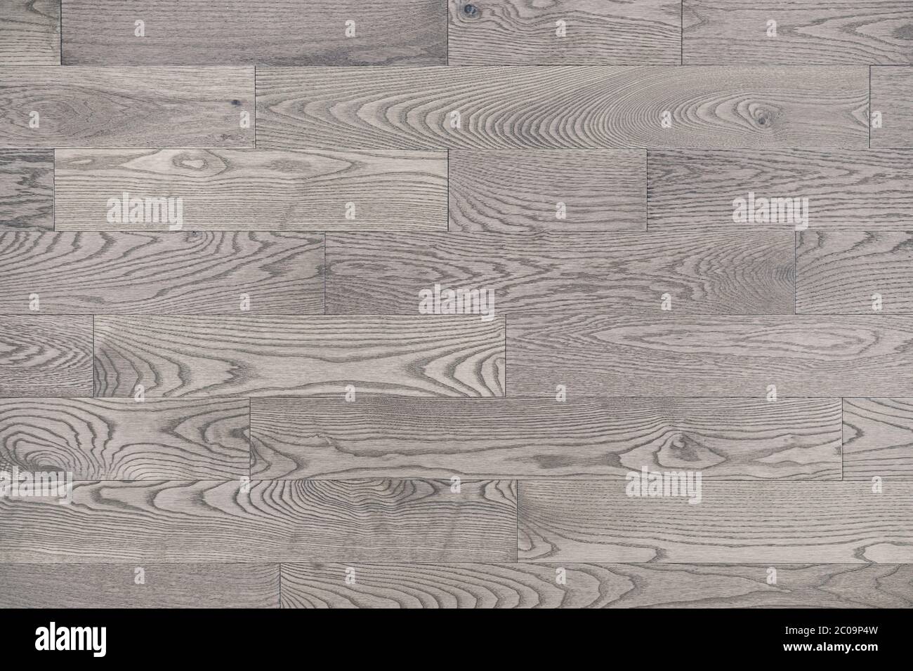 Grey white wood floor texture background viewed from above. Neutral