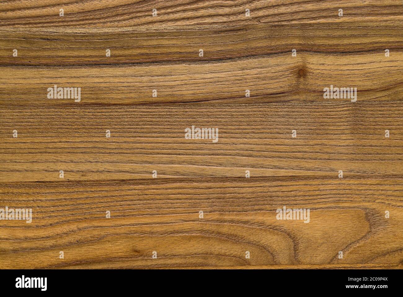 Closeup of wood grain fibers. The wood surface is colored with a natural medium light brown stain and the wood grain texture runs horizontally. Stock Photo