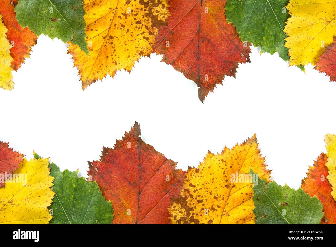 Autumn leaves frame with copy space Stock Photo - Alamy