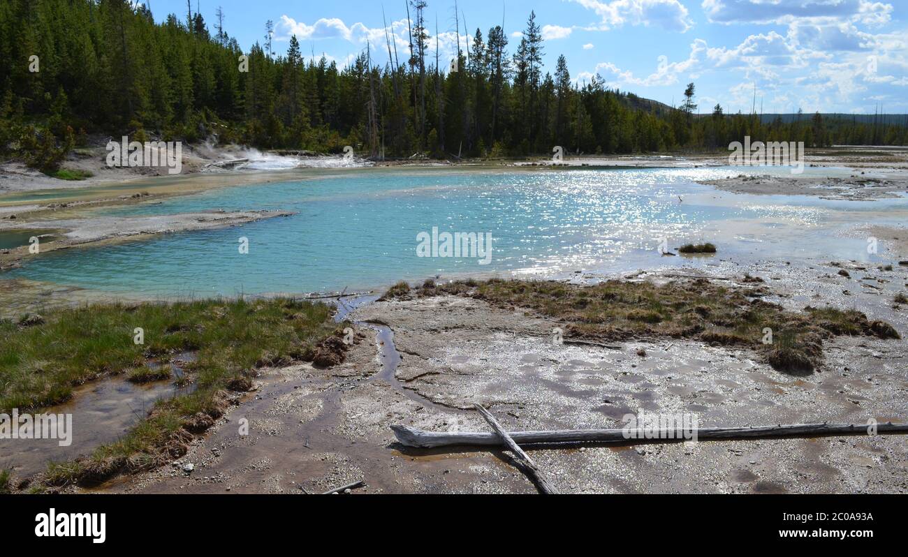 Spring in Yellowstone: Sunlight Glitters on Crackling Lake while Crackling Spring Steams in the Porcelain Basin Area of Norris Geyser Basin Stock Photo