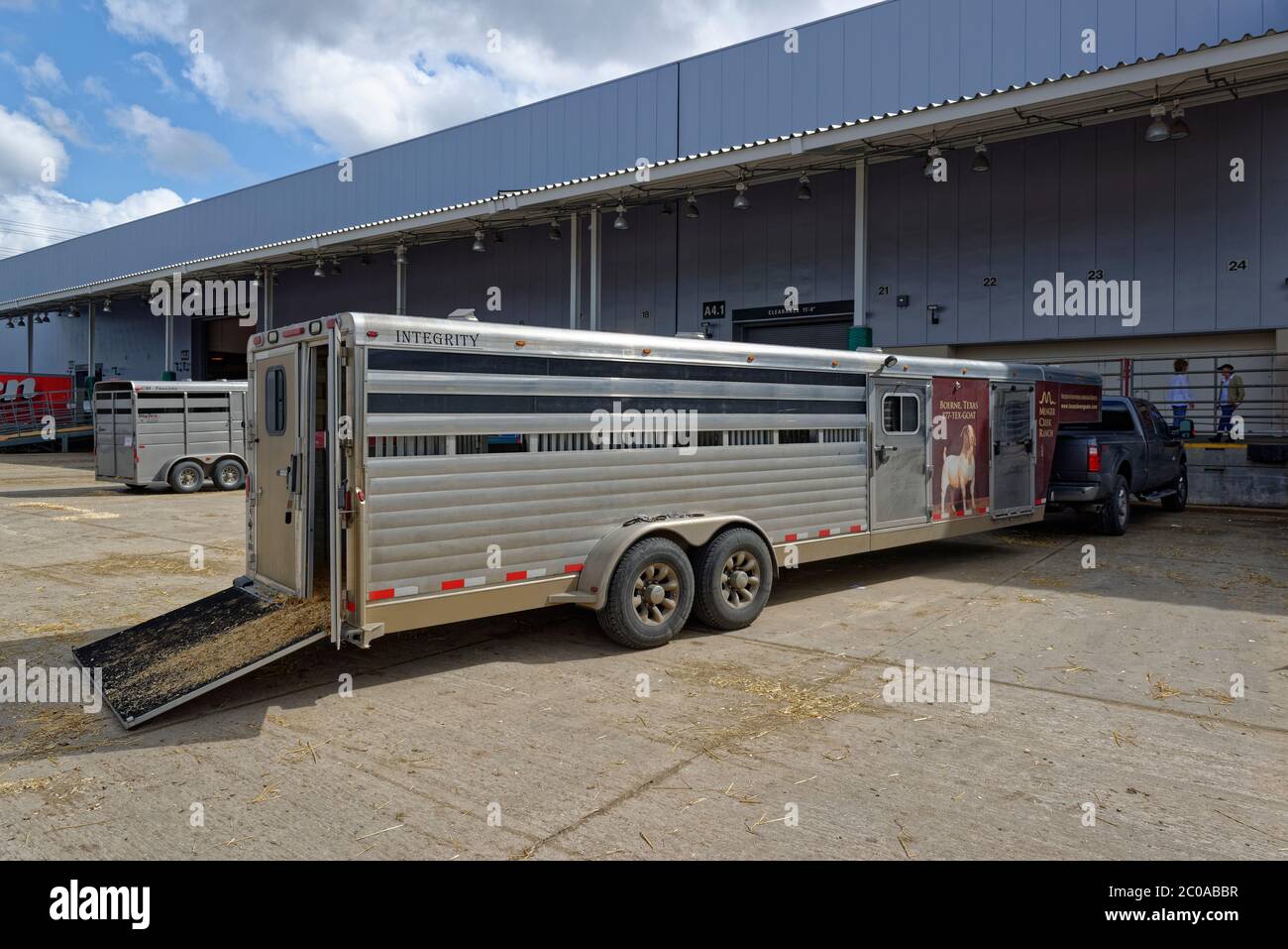 Boer goat transport hires stock photography and images Alamy
