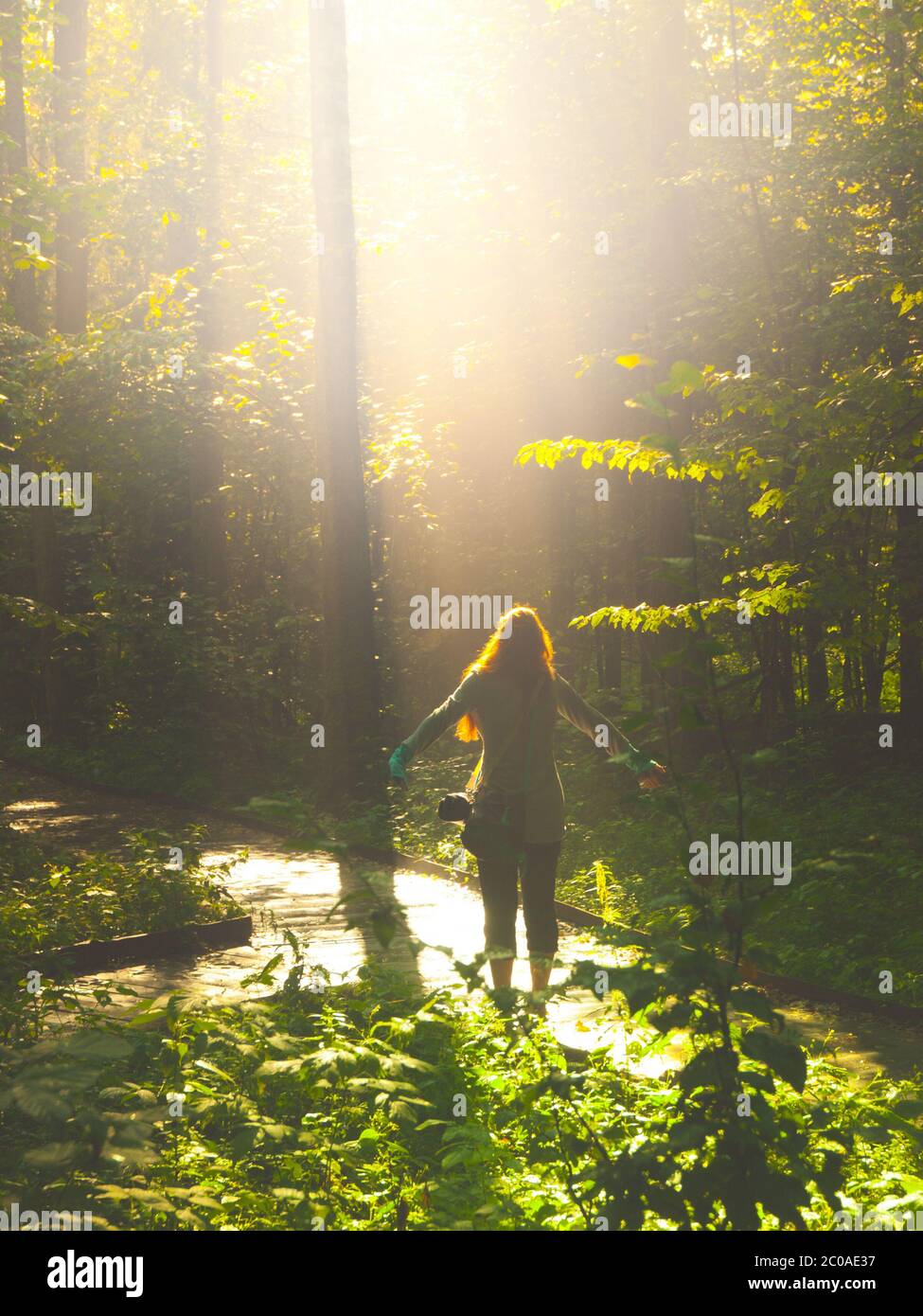 Faithful woman thanking god with open arms in nature illuminated by bright light shining from heaven. Praying and faith concept. Stock Photo