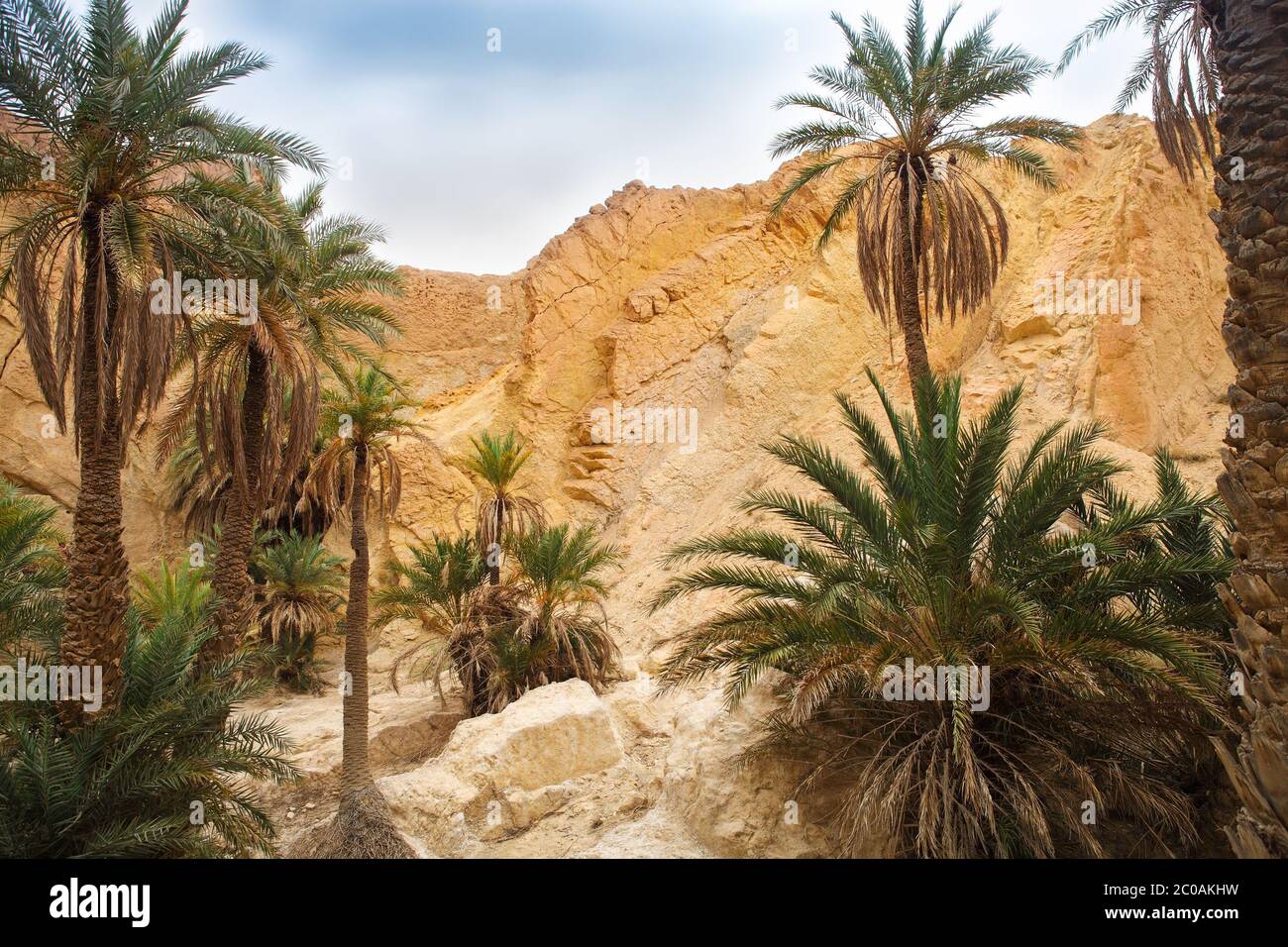 View of mountain oasis Chebika, Sahara desert, Tunisia Stock Photo - Alamy