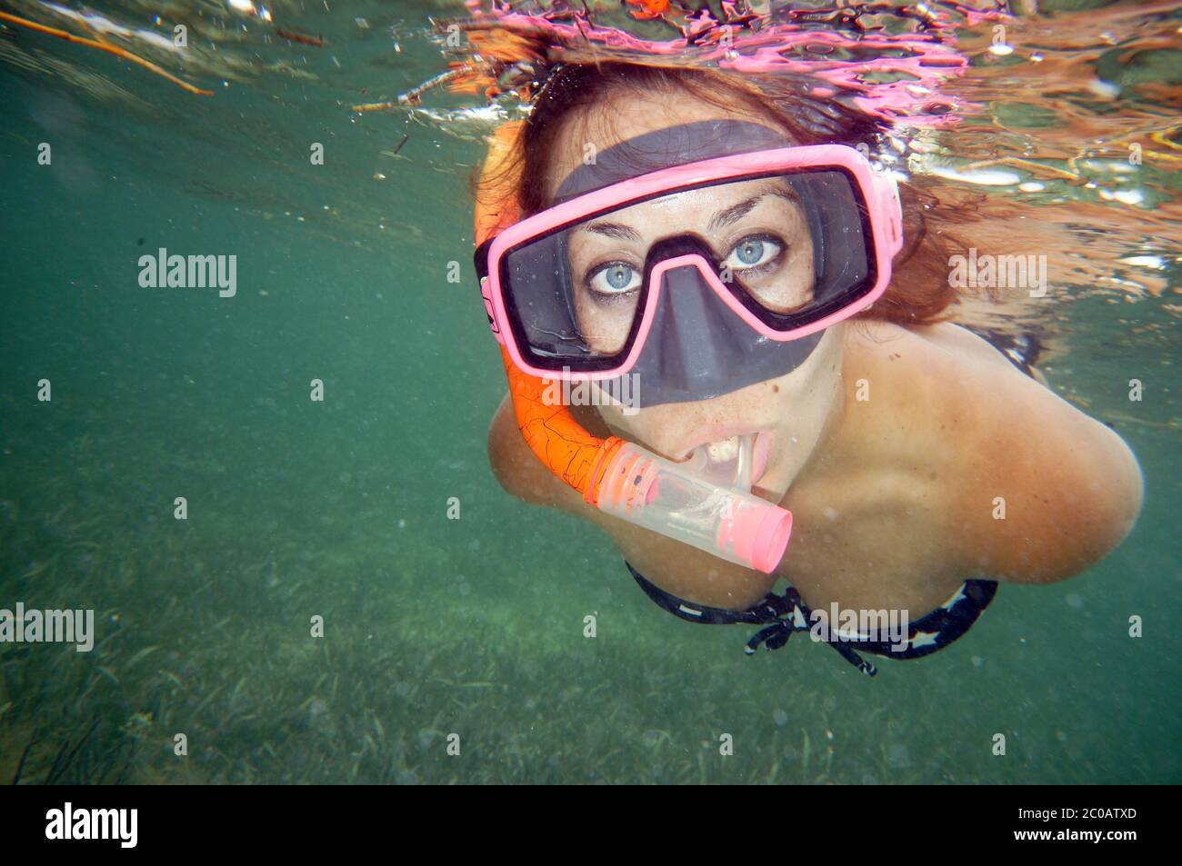 Snorkeler at John Pennekamp Coral Reef State Park Stock Photo Alamy
