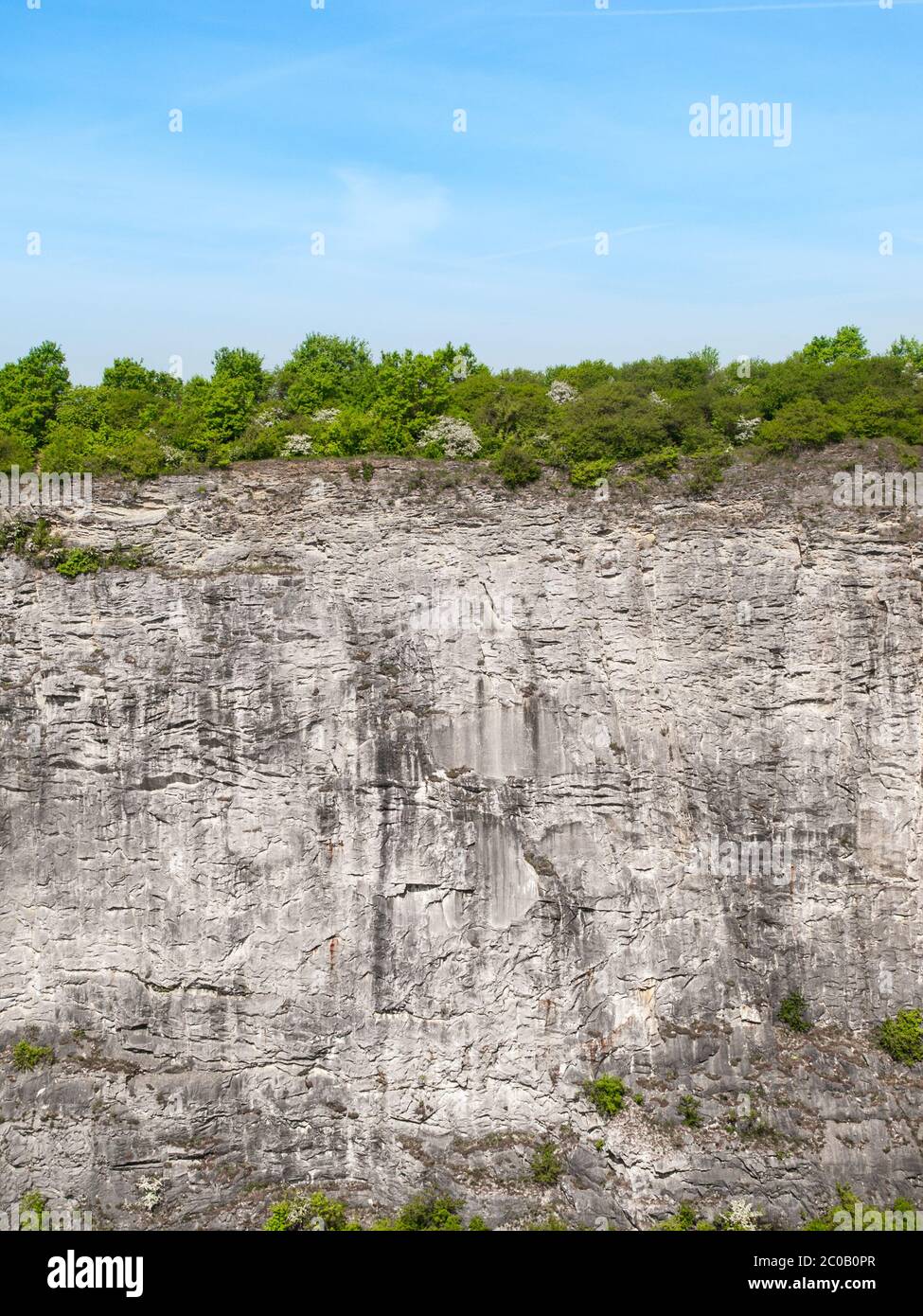 Limestone wall in quarry Big Amerika, Czech Republic Stock Photo
