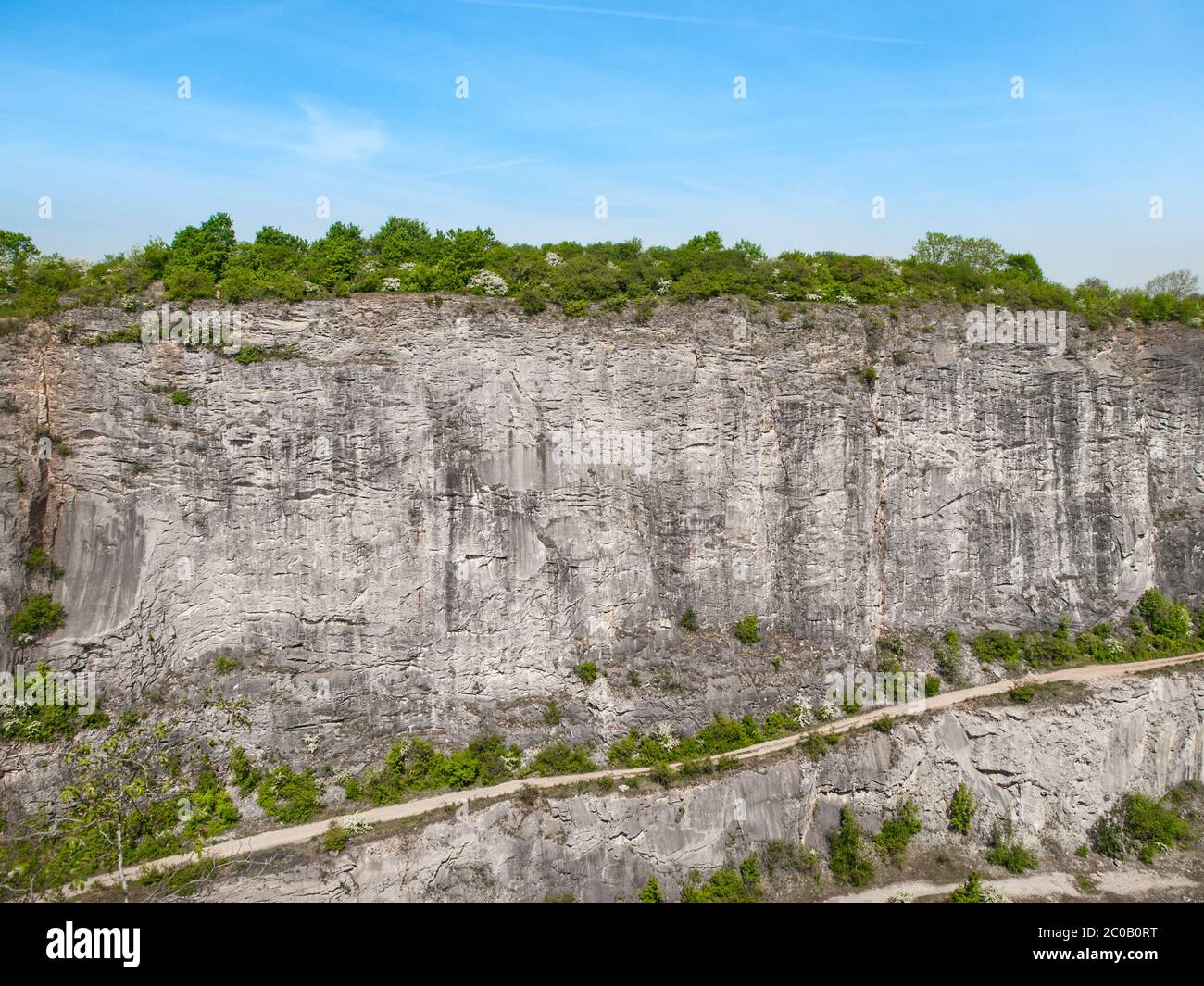 Limestone wall in quarry Big Amerika, Czech Republic Stock Photo