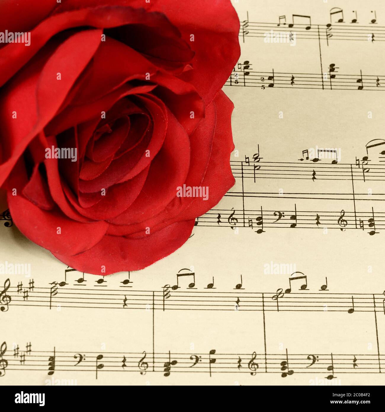 Notes For Roses The rose on notebooks with notes Stock Photo - Alamy