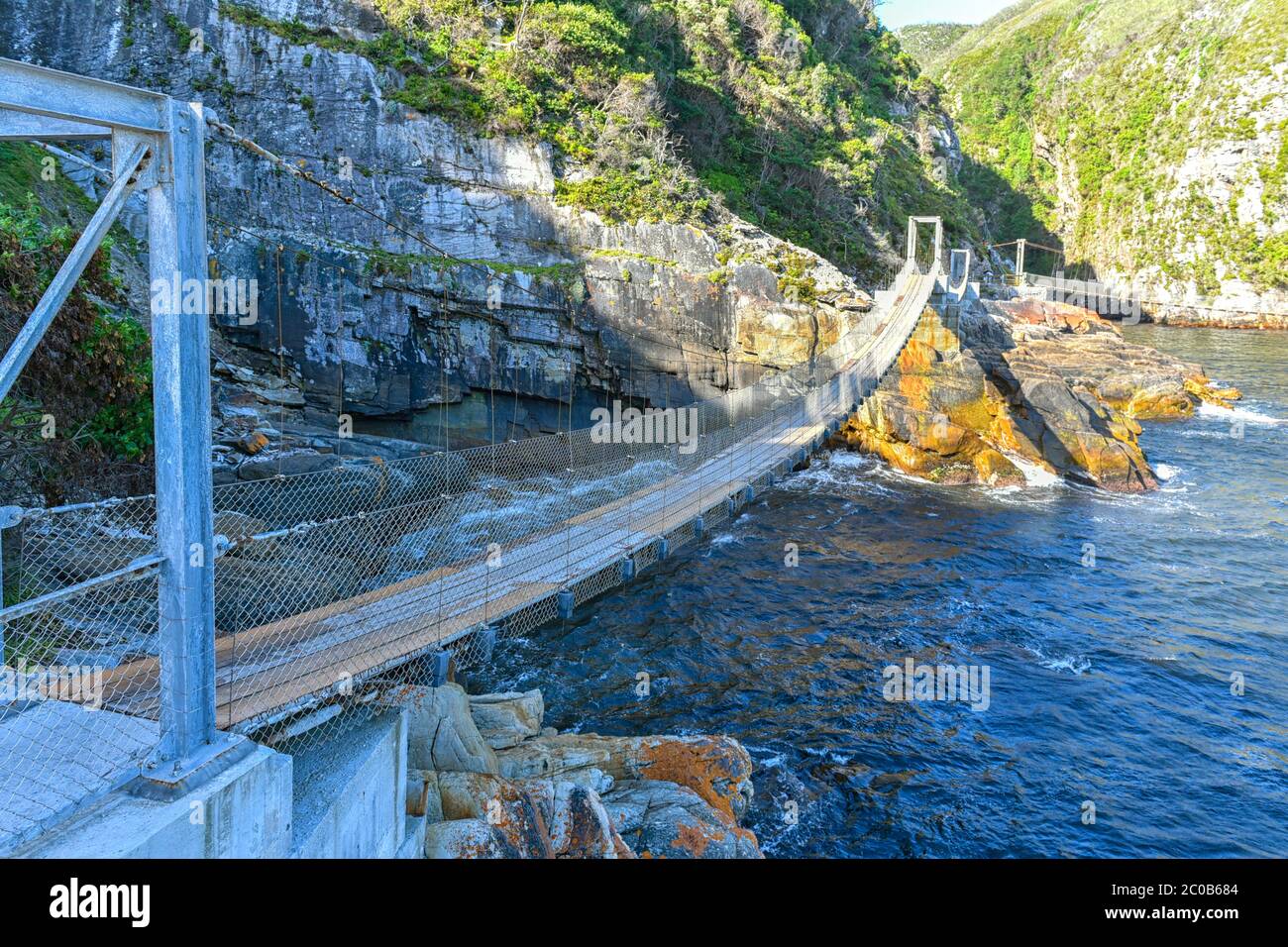 Storms River Suspension Bridge at Garden Route (Tsitsikamma) National Park, South Africa Stock Storms River Suspension Bridge at Garden Route (Tsitsikamma) National Park, South Africa Stock