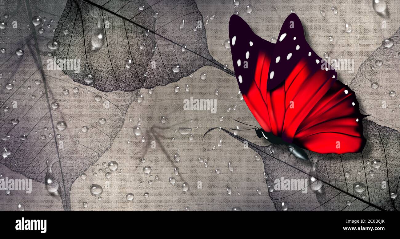 Download Butterflies Background Black RoyaltyFree Stock Illustration Image   Pixabay