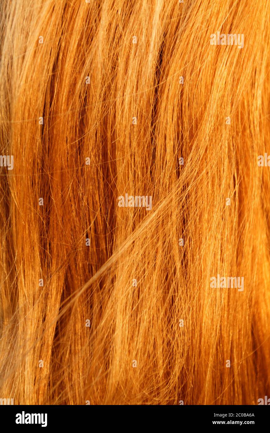 Blonde hair. Blond hair texture - closeup photo Stock Photo