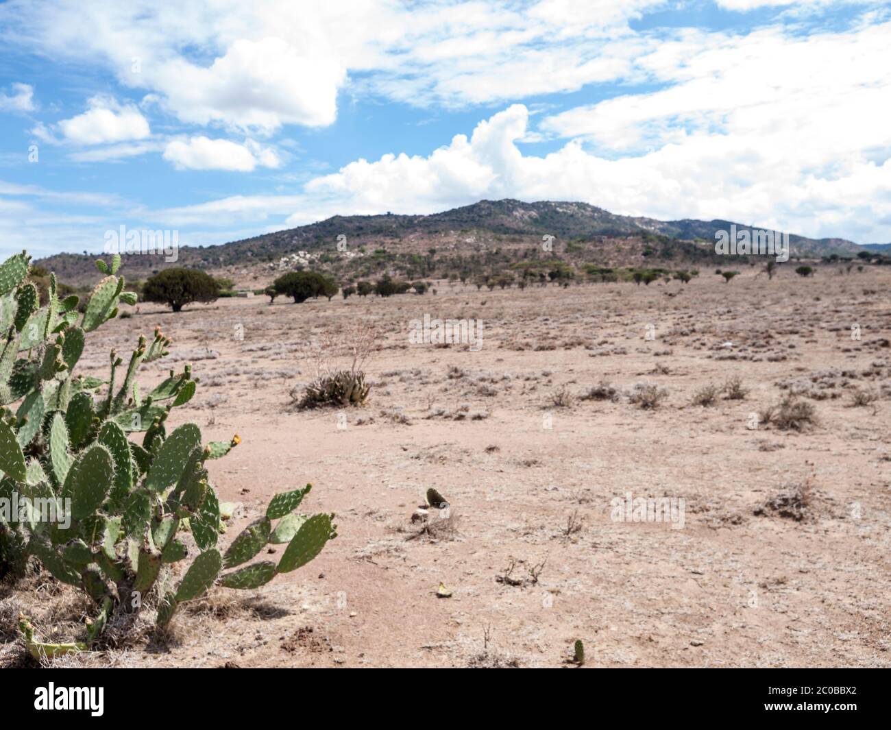 Maji Moto Eco Camp and Maasai Stock Photo - Alamy