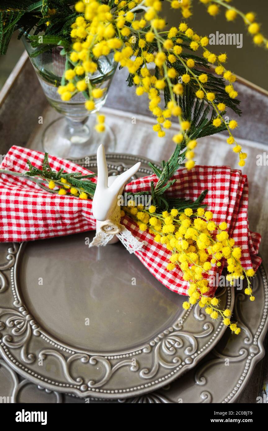 spring time, yellow mimosa flowers Stock Photo