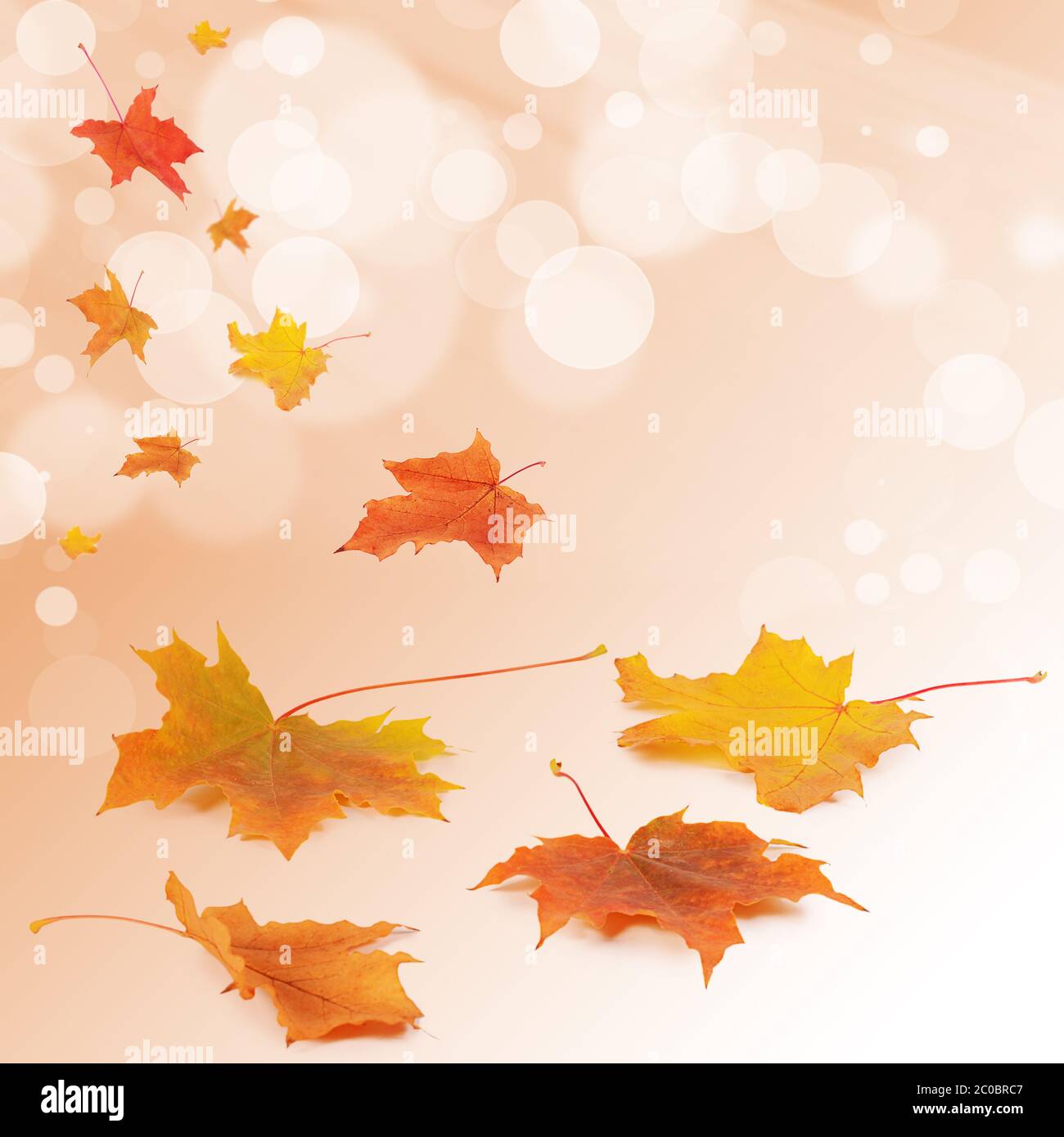 The autumn maple leaves a background Stock Photo - Alamy