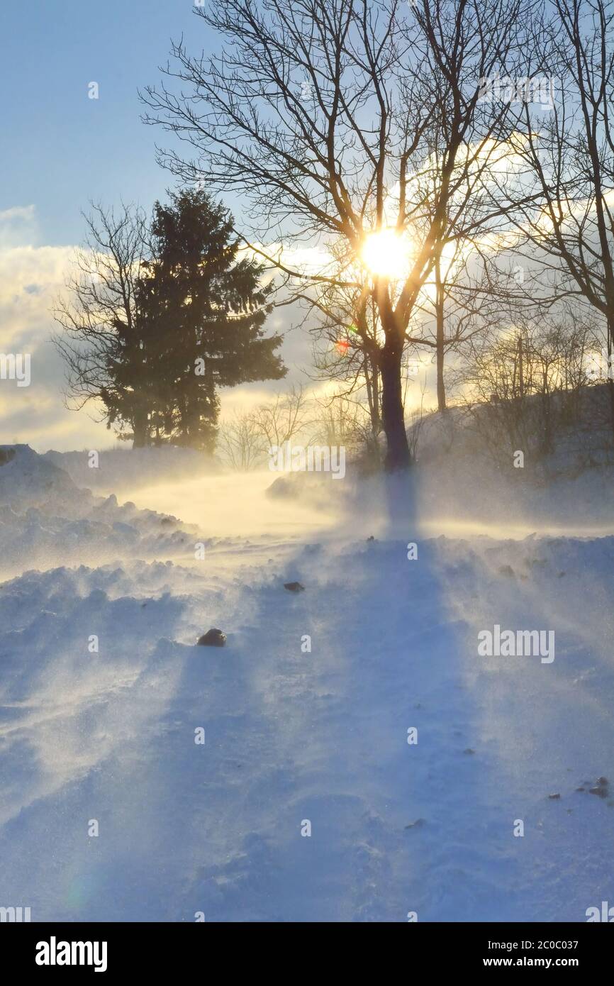 Winter landscape in strong wind Stock Photo