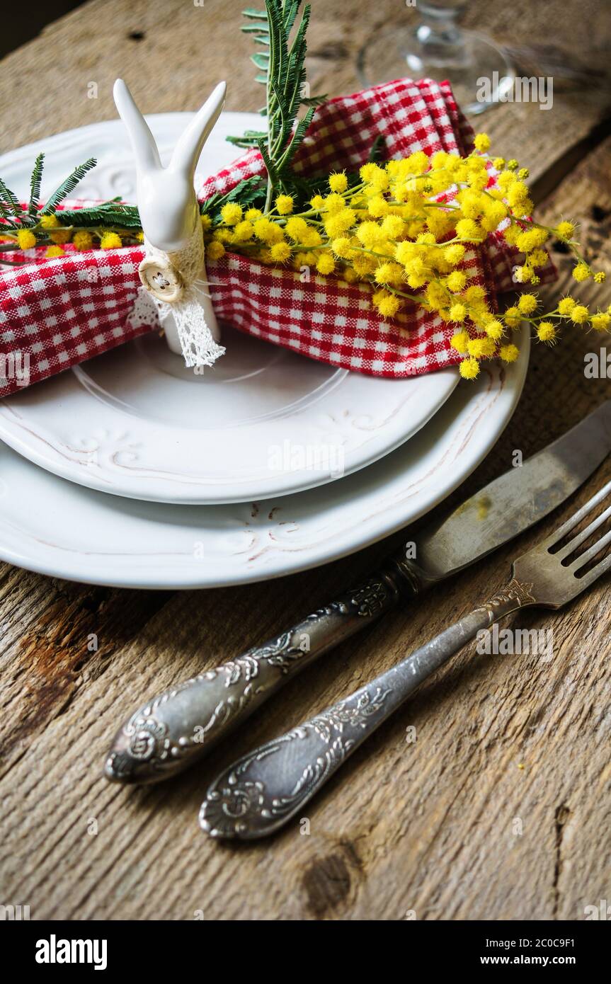 spring time, yellow mimosa flowers Stock Photo