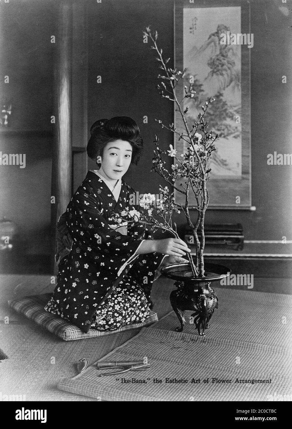 [ 1930s Japan - Japanese Flower Arrangement ] — Japanese woman in kimono with traditional hairstyle doing ikebana, Japanese style flower arrangement. Early 1930s.  During the Meiji and Taisho periods, ikebana and chado (tea ceremony) were a popular way to culturally enlighten oneself, especially for young women on the threshold of marriage.  20th century vintage postcard. Stock Photo