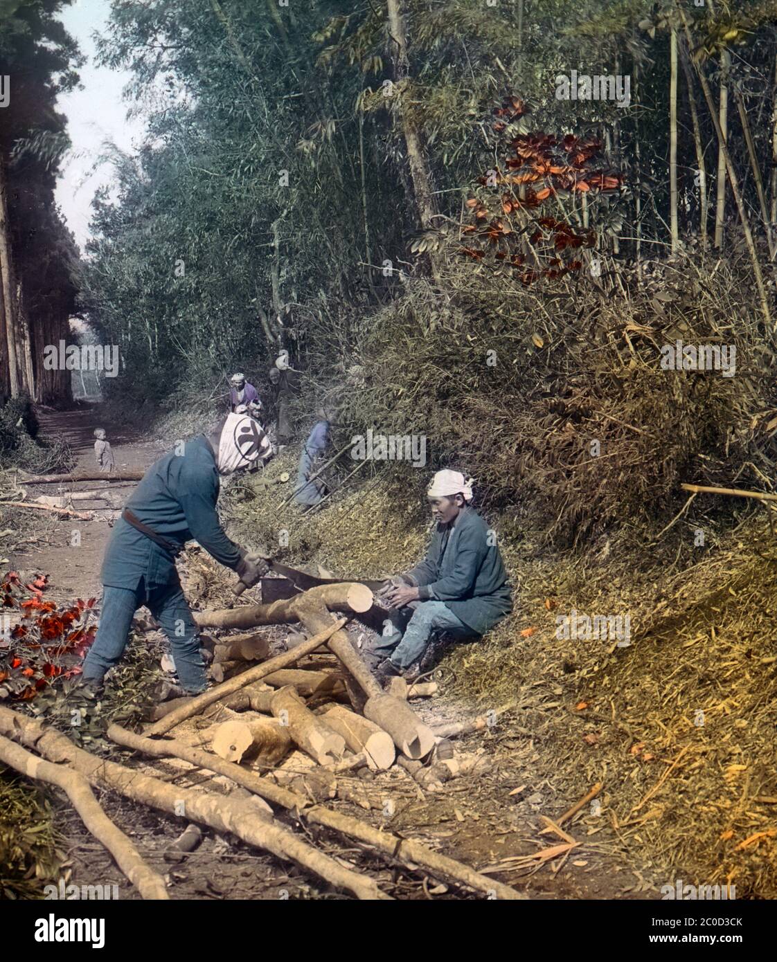 [ 1900s Japan - Cutting Firewood ] — Cutting firewood in the Japanese countryside.  20th century vintage glass slide. Stock Photo