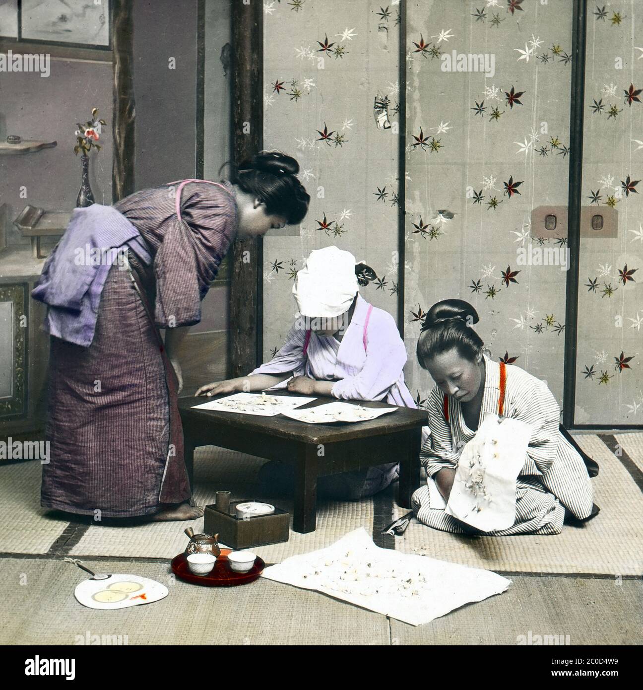 [ 1900s Japan - Observing Silk Moths ] — Studio arrangement of Japanese women observing silk moths laying eggs.  20th century vintage glass slide. Stock Photo
