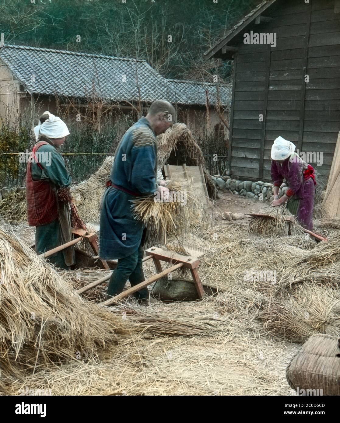 [ 1900s Japan - Japanese Farmers Threshing Rice ] — Three Japanese farmers are threshing rice stalks with a Senbakoki (threshing machine).  20th century vintage glass slide. Stock Photo