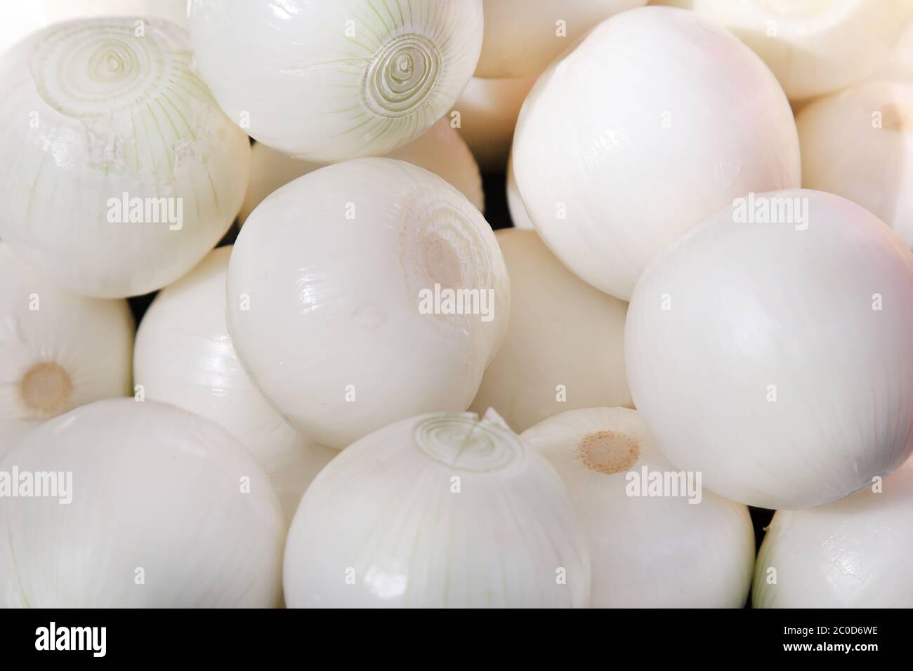 White onion making a background Stock Photo - Alamy