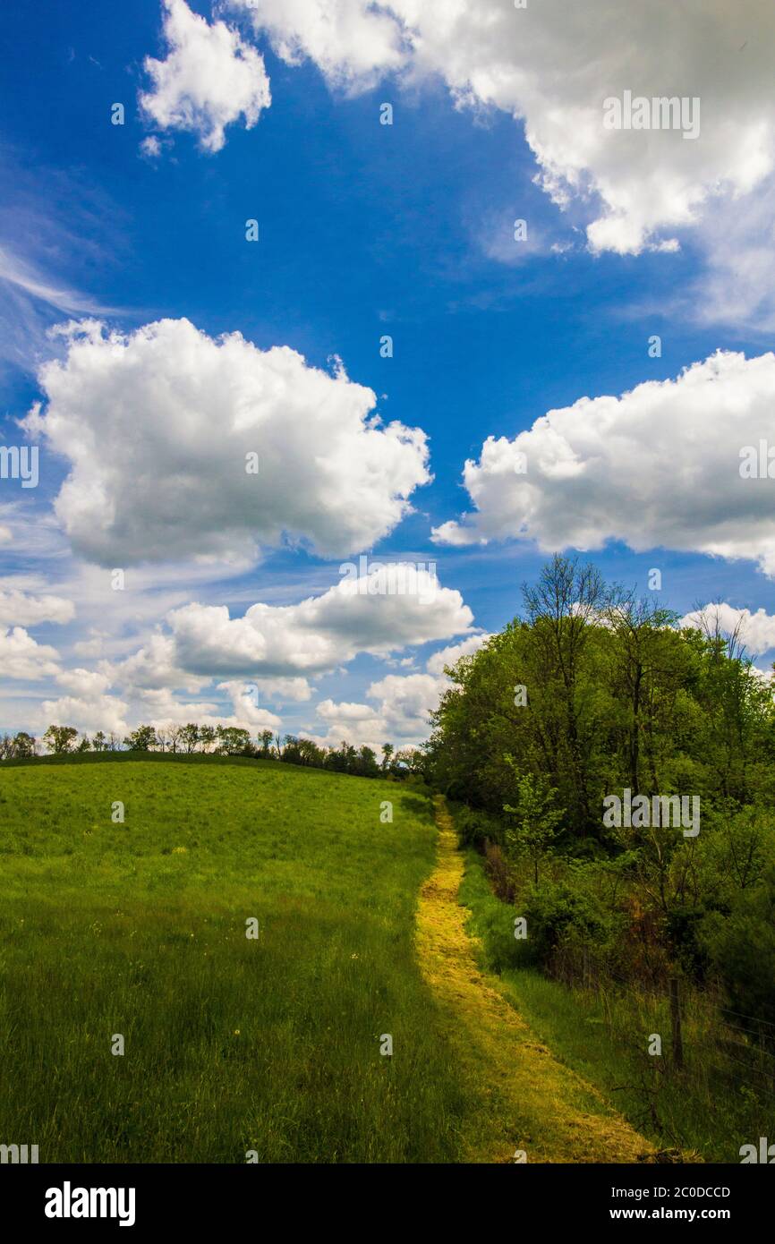 Green Field and Cloudy Blue Sky Stock Photo - Alamy