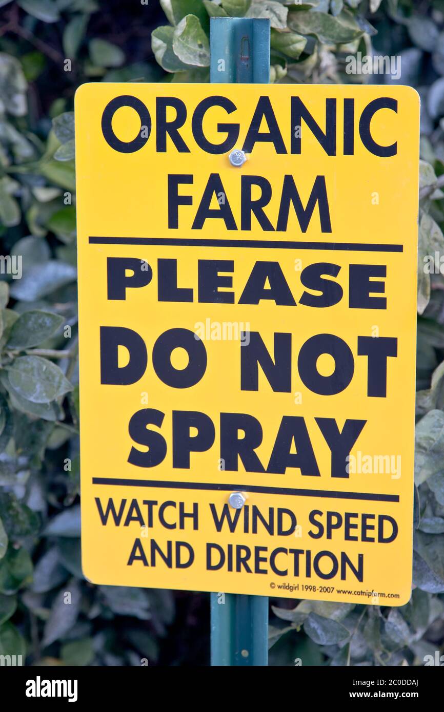 Posted sign at Orange orchard,  'PLEASE DO NOT SPRAY - WATCH WIND SPEED AND DIRECTION',  Organic citrus orchard, California. Stock Photo