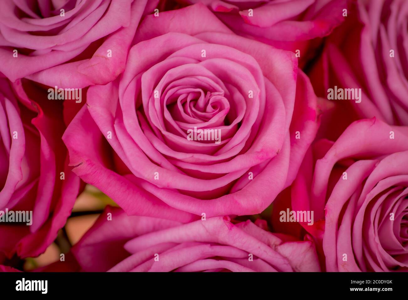 Austin moody hi-res stock photography and images - Alamy