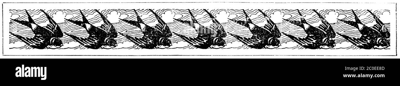 Abstract pattern - swallows in flight. Separator of chapters in a book ...