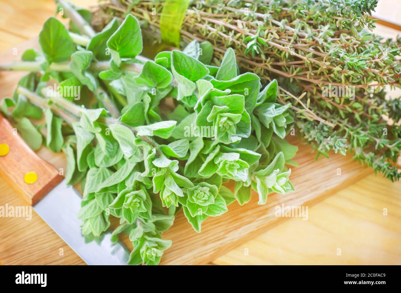 oregano with thyme Stock Photo Alamy