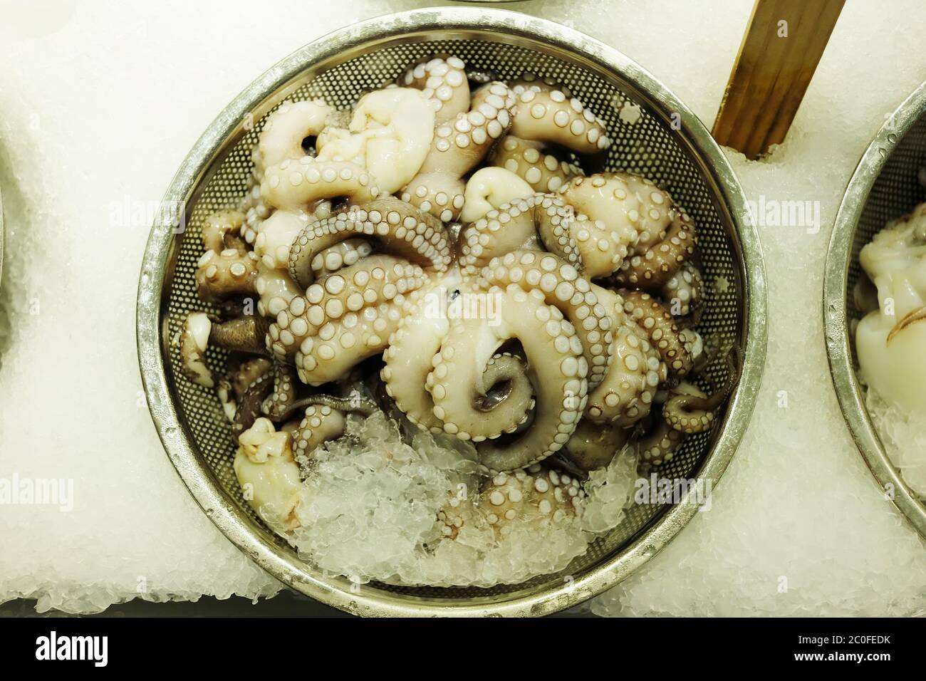 Octopus on Ice Stock Photo Alamy