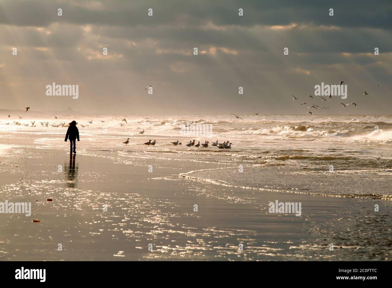 girl silhouette on North sea beach Stock Photo