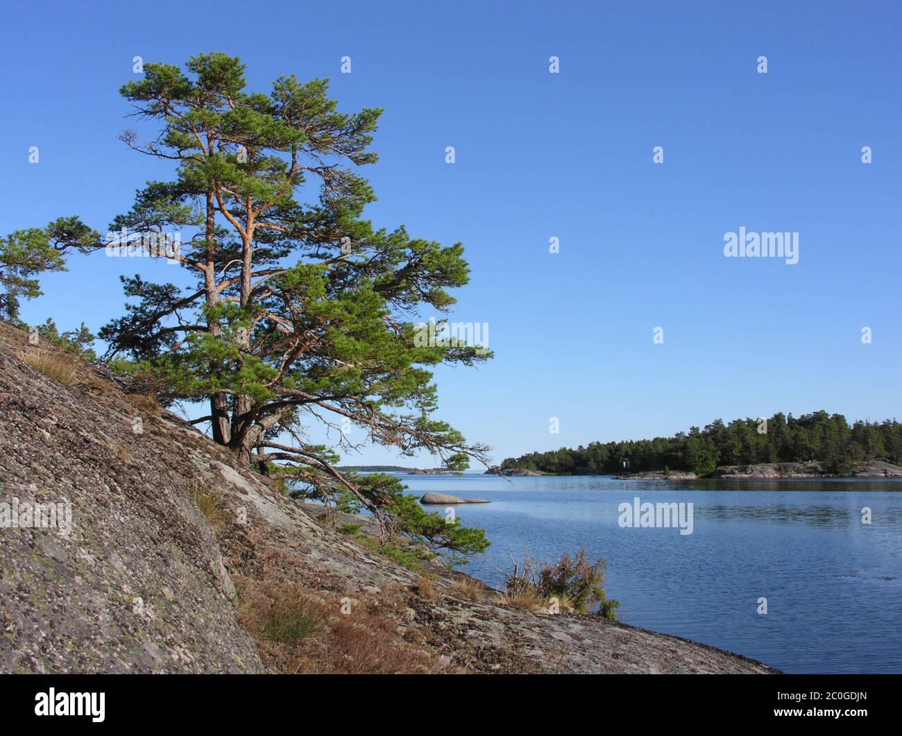 Coastline in Swedish archipelago near Västervik Stock Photo