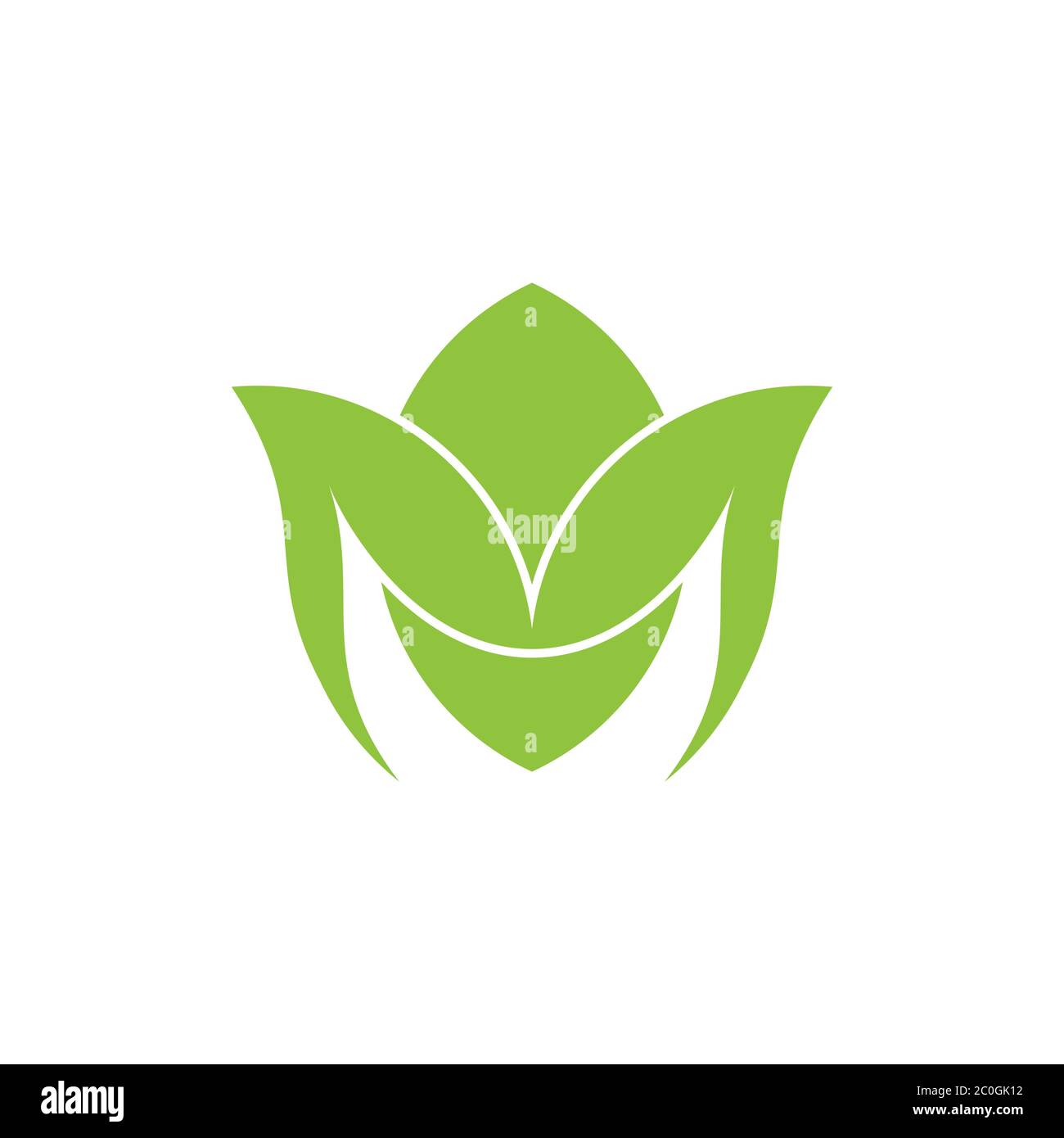 letter m green leaf curves geometric logo vector Stock Vector