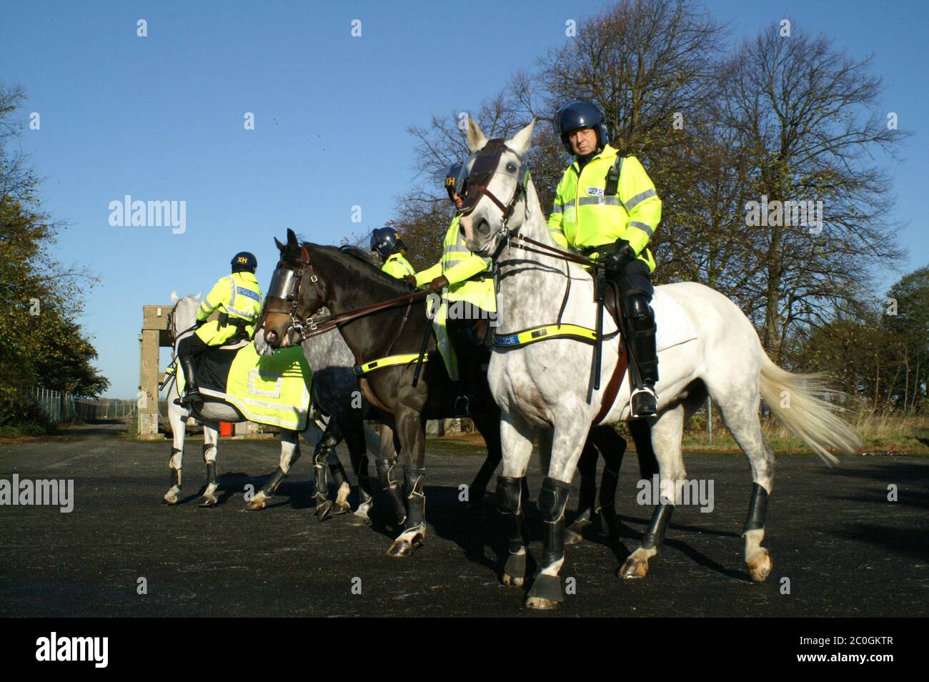 Mounted police protest horse hi-res stock photography and images - Alamy