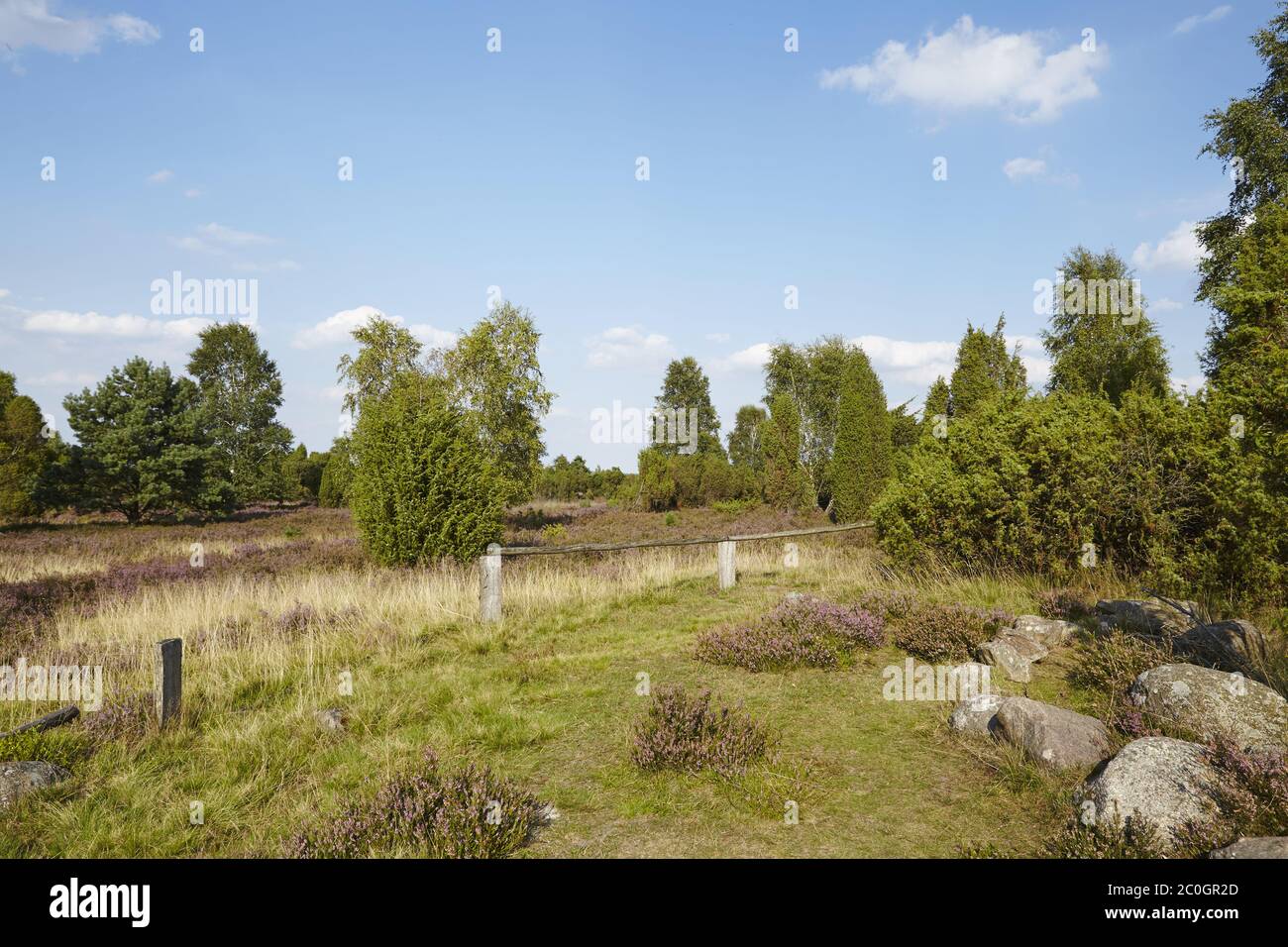 Lüneburger heide landscape hi-res stock photography and images - Alamy