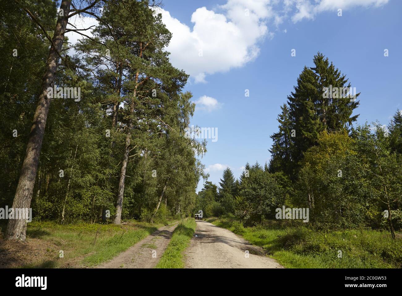 Lüneburger Heide - Cobblestone road near Egestorf Stock Photo