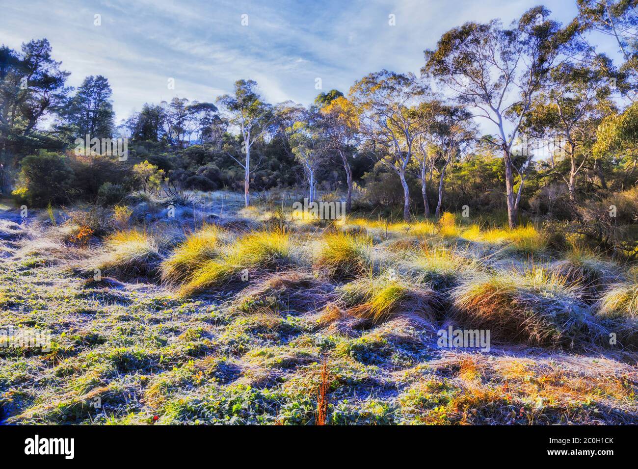 Snow nsw australia katoomba hires stock photography and images Alamy