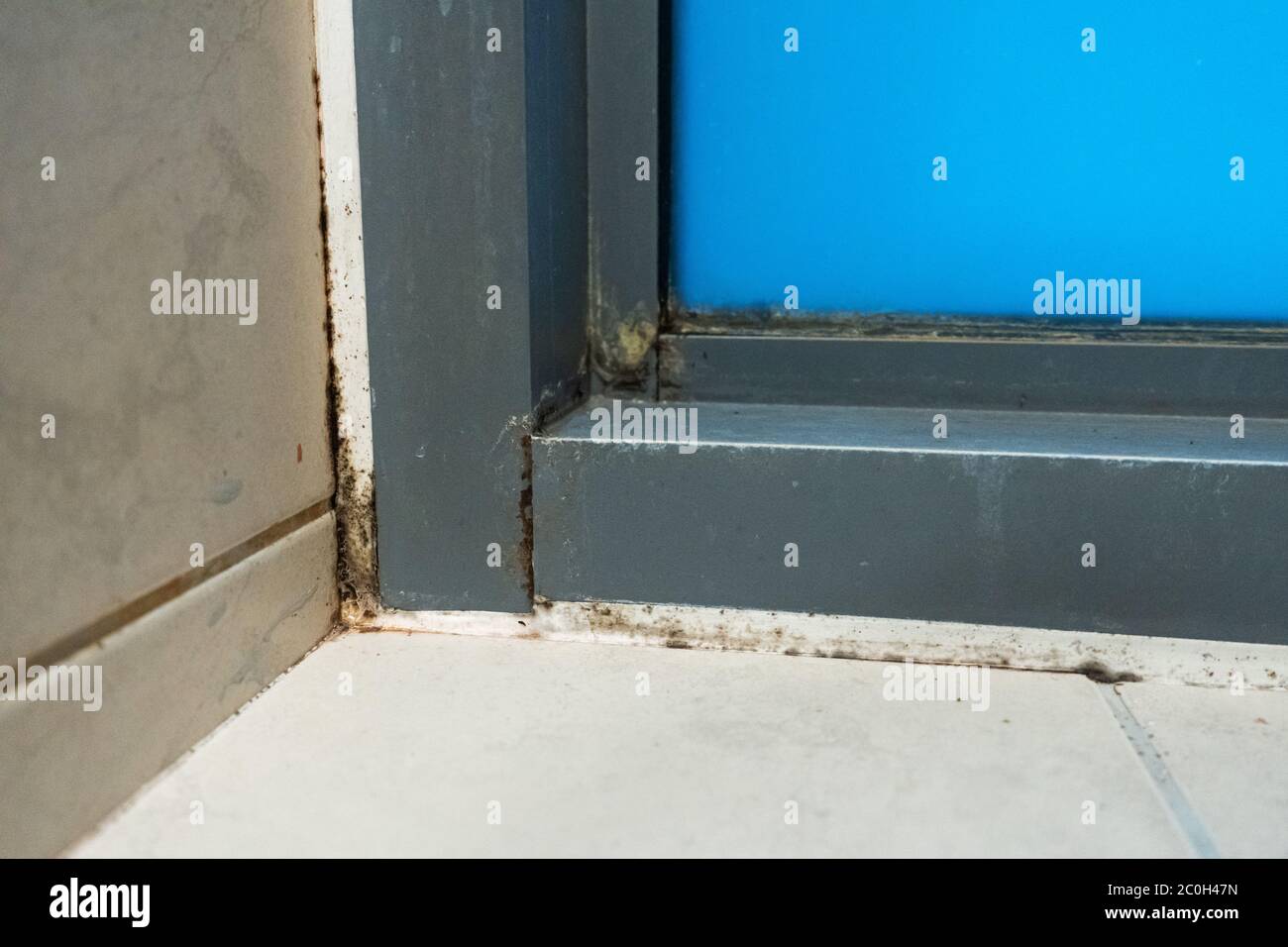Old plastic window frame in the shower. Moldy angle, fungus. Problem