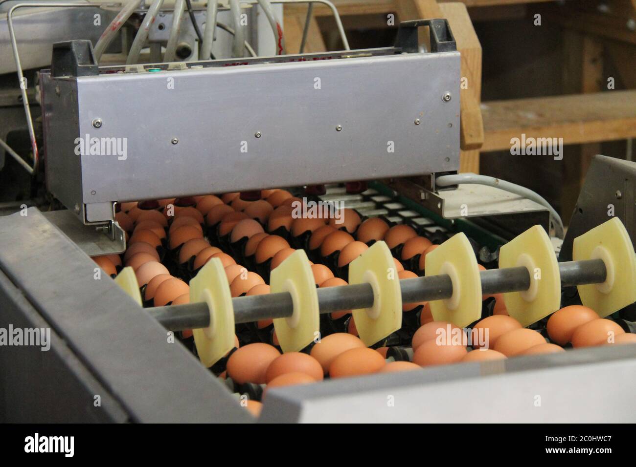 Egg packing machine hires stock photography and images Alamy