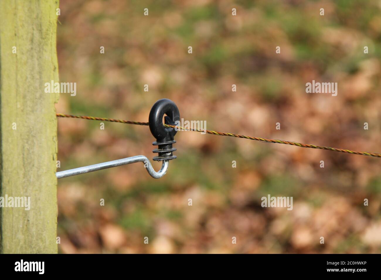The Insulated Holder of an Electrified Fence Wire. Stock Photo